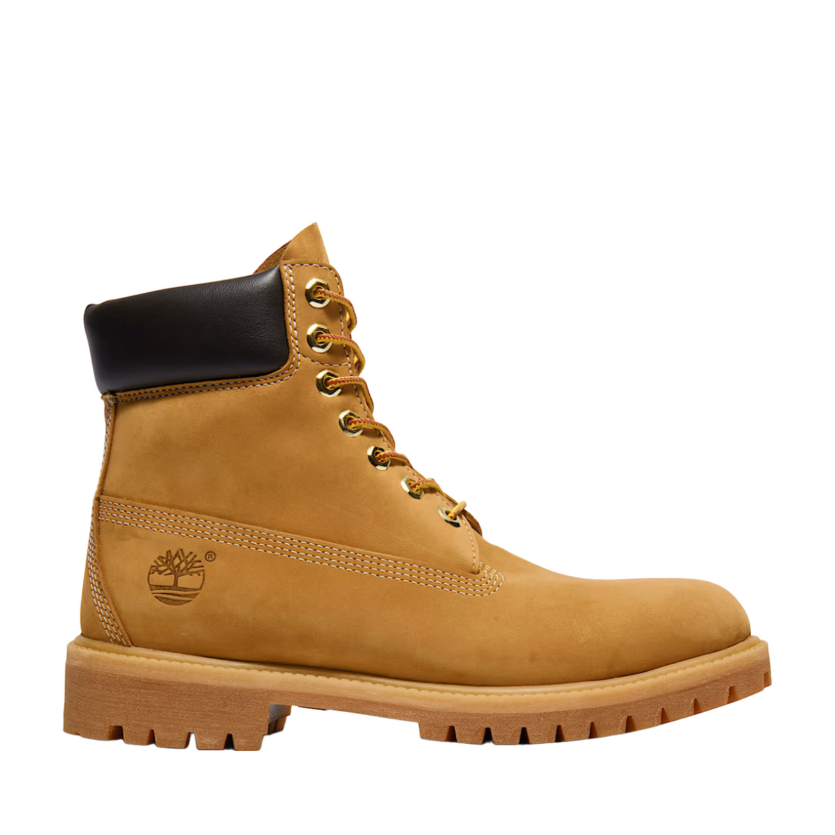 Timberland 6" Premium Waterproof Boot in wheat nubuck leather, with a black padded collar, gold eyelets, and a lug sole.