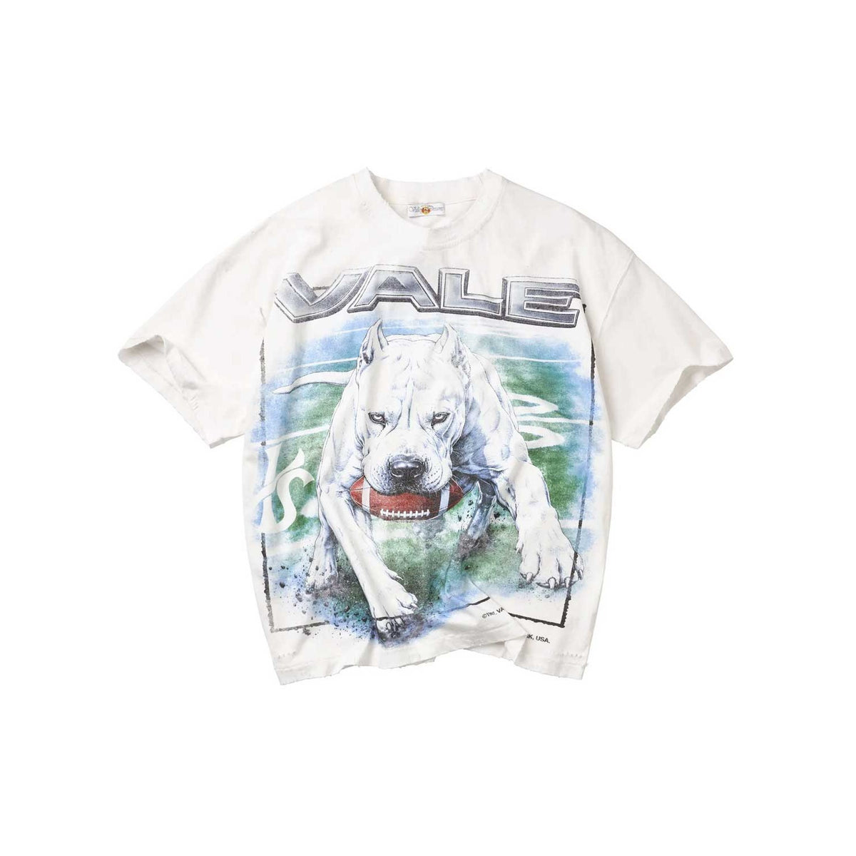 Vale Forever - Cane Tee - White